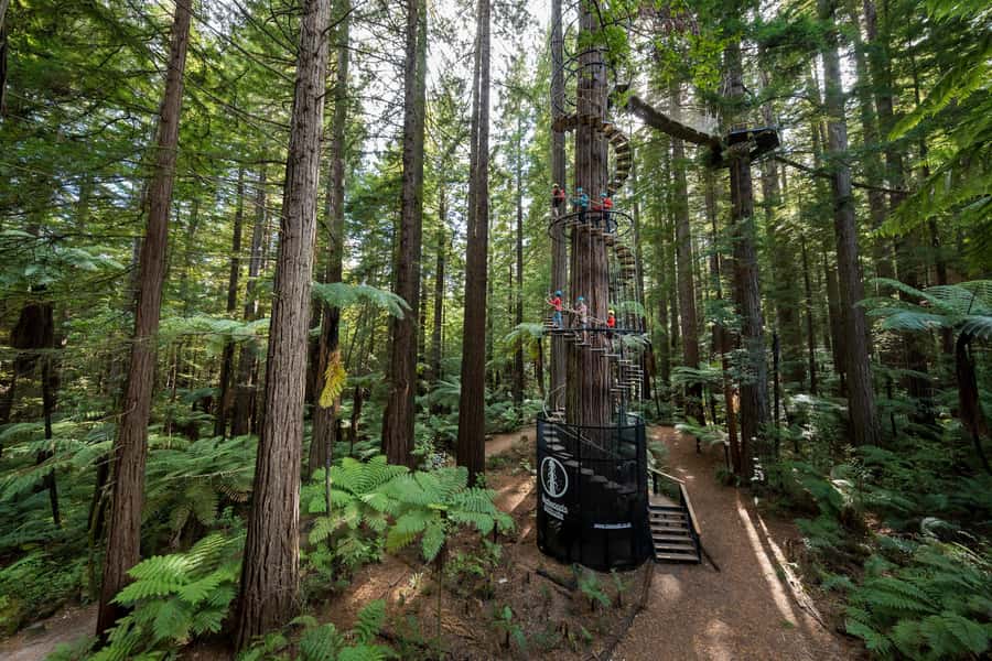 Rotorua: Redwoods Altitude, Nighttime Fast Pass, & Treewalk - The people this experience suits best
