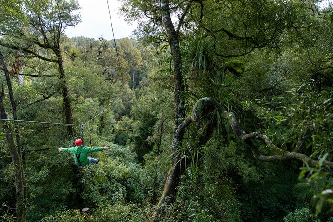 Rotorua’s Ultimate Zipline: 6 ziplines, 400 m Tandem, Cliff Walk - Conservation gives the adventure more purpose