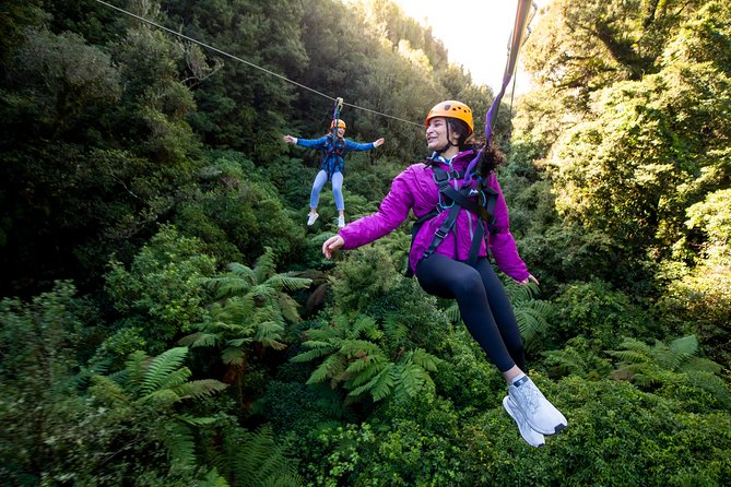 Rotorua’s Ultimate Zipline: 6 ziplines, 400 m Tandem, Cliff Walk - Is $166.93 a fair price?