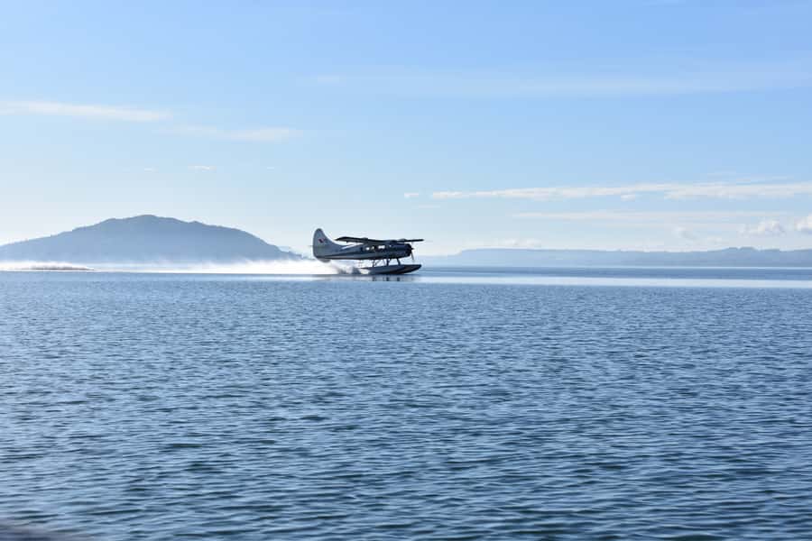 Rotorua: Scenic Flight over Mt Tarawera & Waimangu Valley - Mokoia Island and Rotorua’s lake district