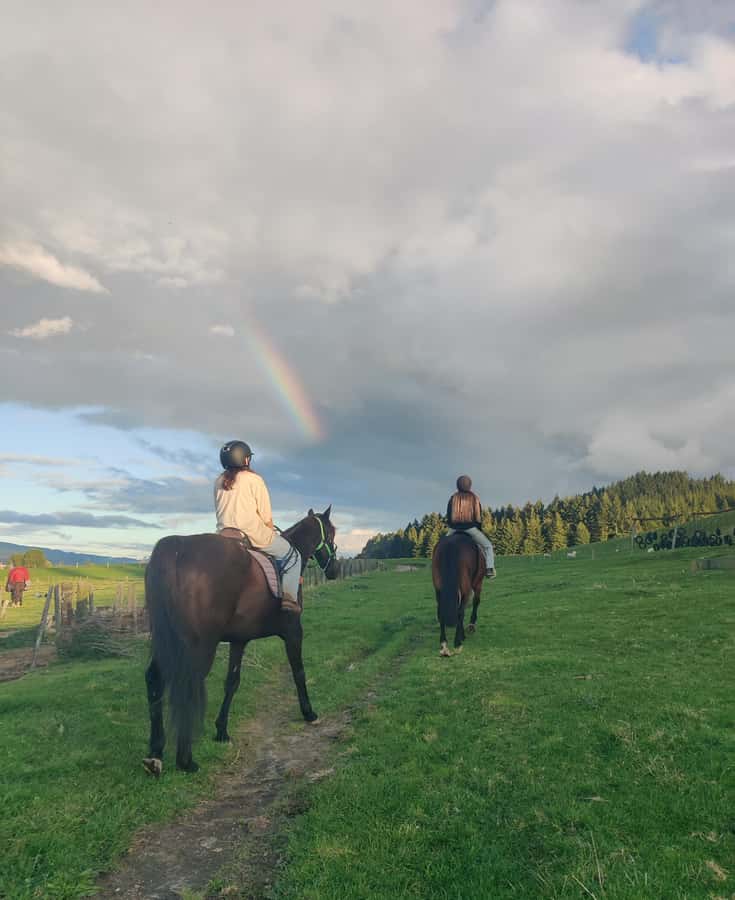 Rotorua: Scenic Horse Trek - Key points to know before you ride