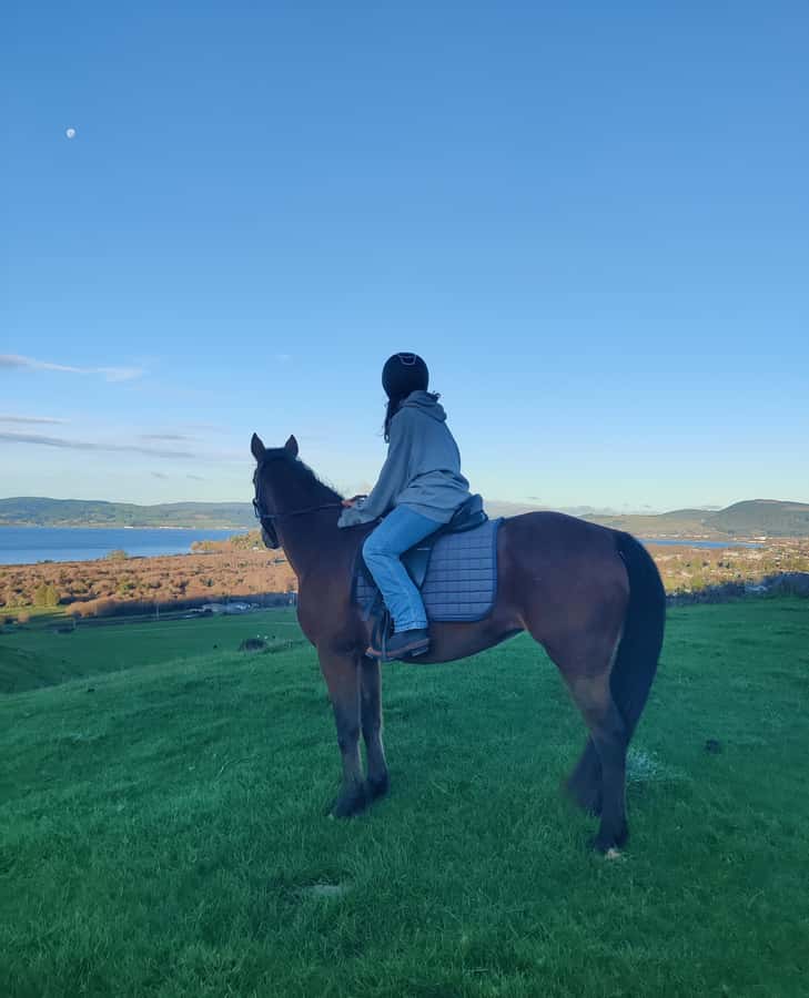 Rotorua: Scenic Horse Trek - Riding through farmland near Mt Ngongotaha