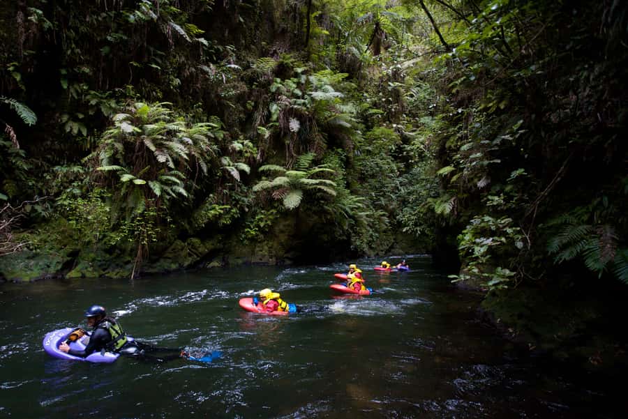 Rotorua Sledging: Kaituna White Water River Board Experience - Why Kaituna sledging feels different from rafting