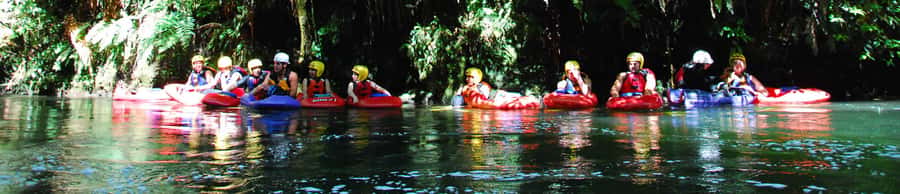 Rotorua Sledging: Kaituna White Water River Board Experience - Rapids, fins, and the low river view