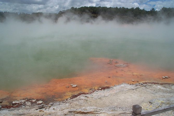 Rotorua Small-Group Day Tour from Auckland - Why the buffet lunch matters on a long day