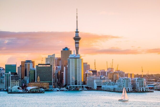 Rotorua Small-Group Day Tour from Auckland - Choosing the right afternoon option