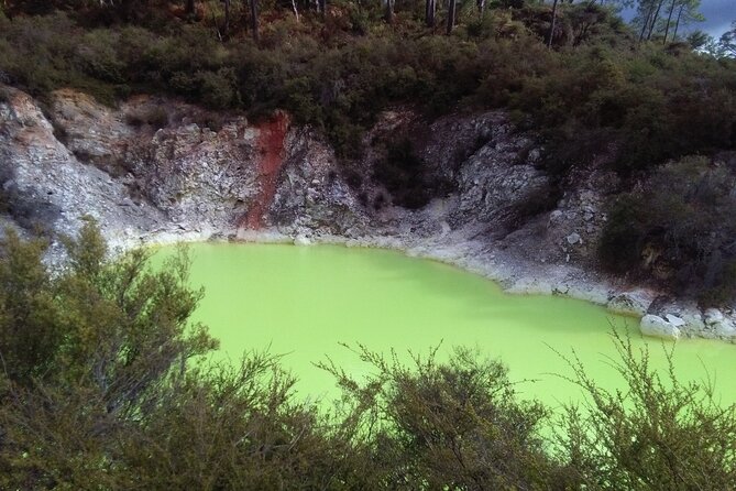 Rotorua Small-Group Day Tour from Auckland - The Auckland to Rotorua drive takes commitment