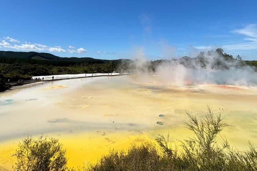 Rotorua & Taupo DayTour Waiotapu & Huka Falls from Auckland - The quick take