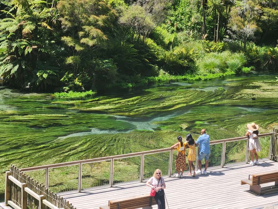 Rotorua & Taupo DayTour Waiotapu & Huka Falls from Auckland - Lake Taupo and the town visit
