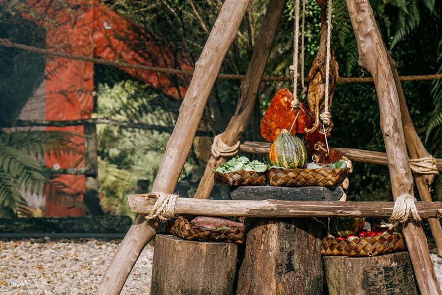 Rotorua: Te Pa Tu Māori Cultural Experience with Dinner - Why Te Pā Tū feels different from a standard dinner show