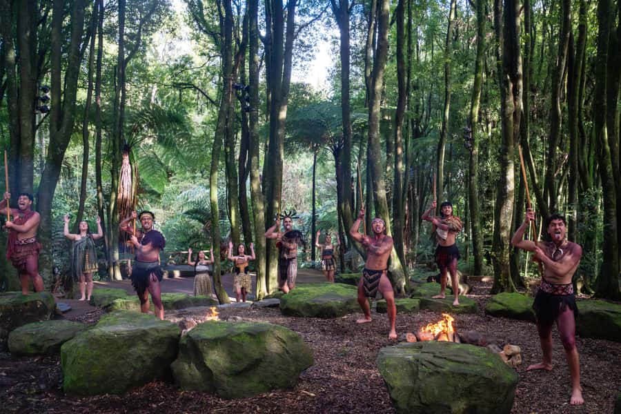 Rotorua: Te Pa Tu Māori Cultural Experience with Dinner - The bus ride from Rotorua to the forest