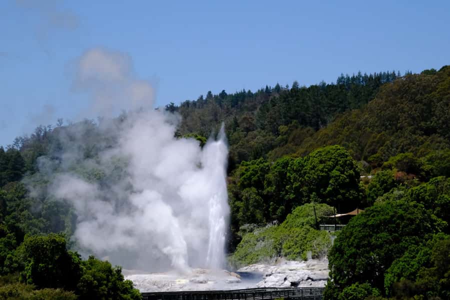 Rotorua: Te Puia Maori Village and Rejuvenation Tour - From Tauranga port to Rotorua in comfort