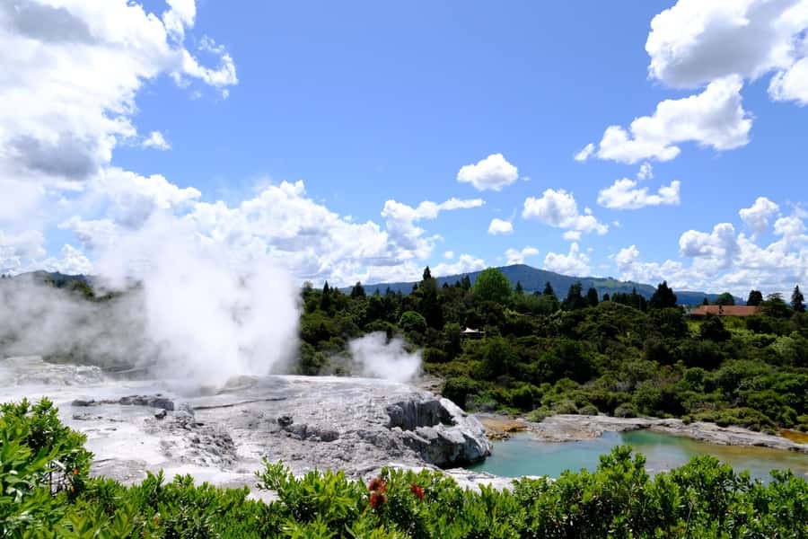 Rotorua: Te Puia Maori Village and Rejuvenation Tour - Seeing the kiwi in its nocturnal enclosure