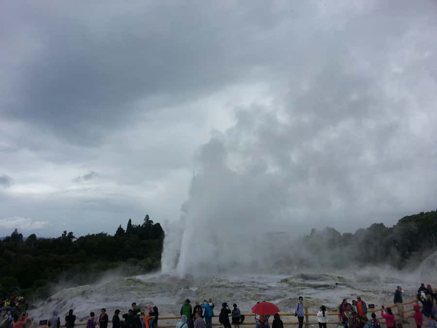 Rotorua: Te Puia Maori Village and Rejuvenation Tour - Polynesian Spa and the Deluxe Lake Spa pools