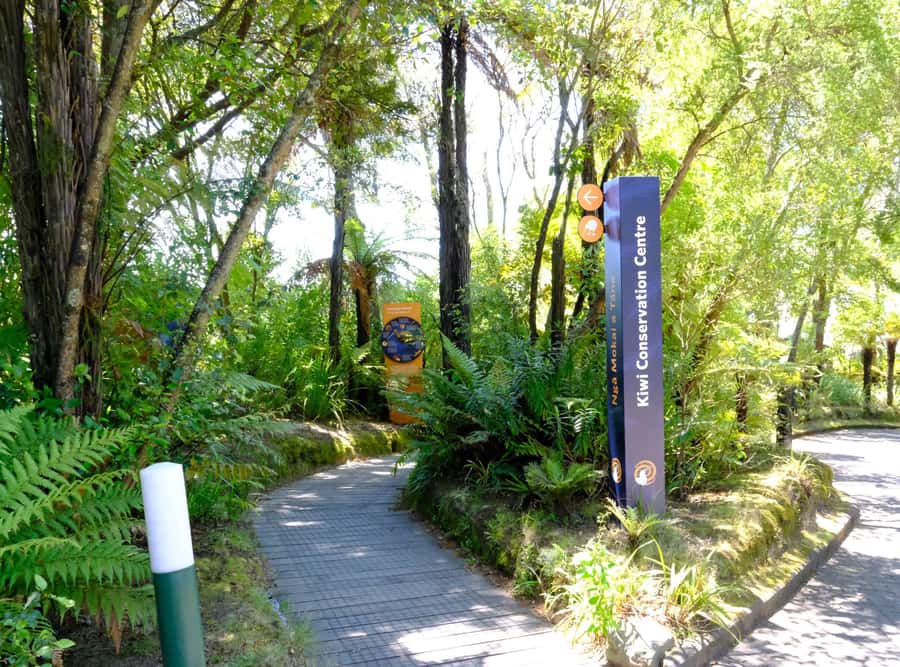 Rotorua: Te Puia Maori Village and Rejuvenation Tour - How the day can be adjusted