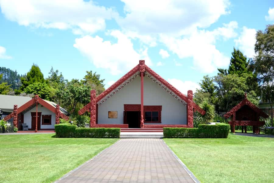 Rotorua: Te Puia Maori Village and Rejuvenation Tour - What past bookings tell you about the experience