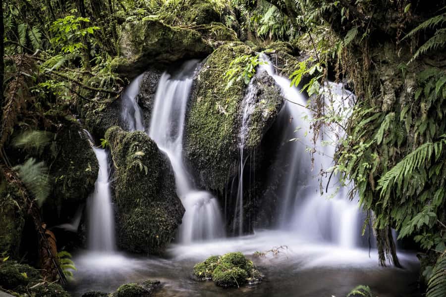 Rotorua: The Buried Village of Te Wairoa - Is the $14 entry good value?