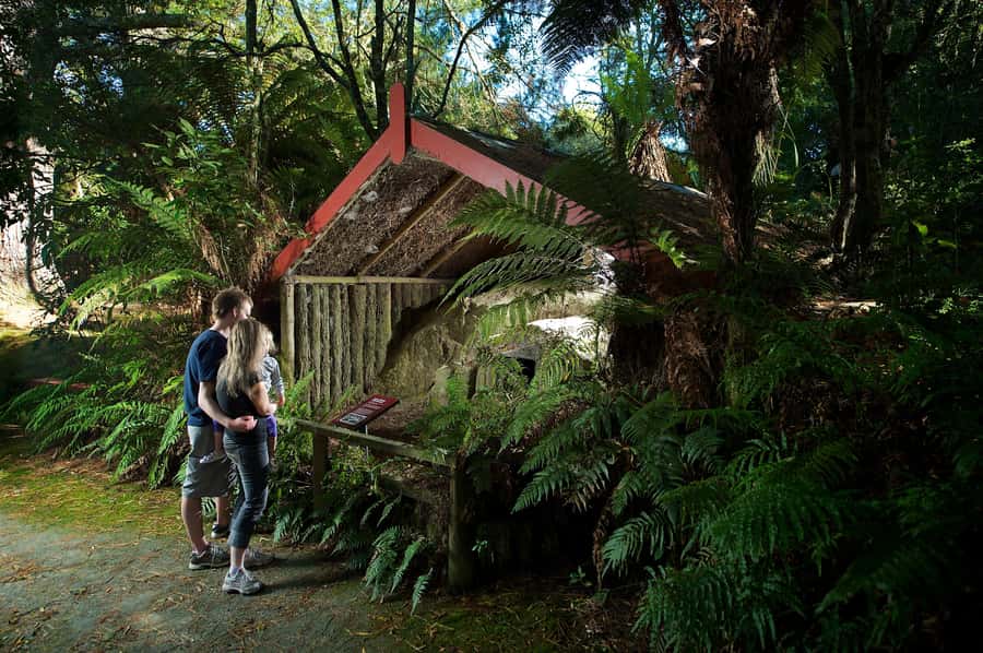 Rotorua: The Buried Village of Te Wairoa - Start in the Museum of Te Wairoa
