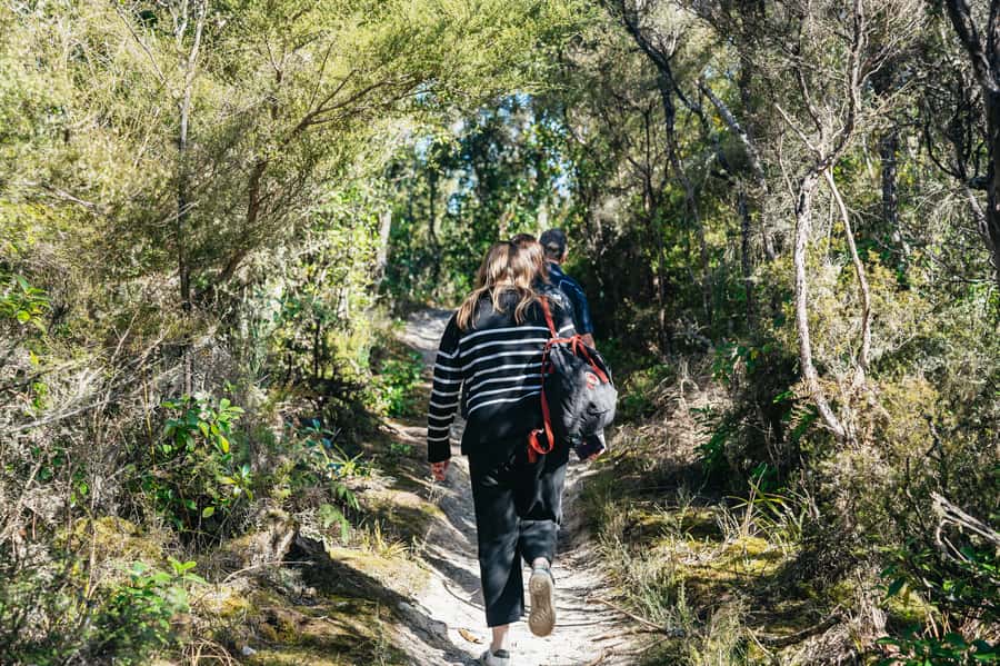 Rotorua: 'Thermal Path Tour' Geothermal half day Tour - Waikite Valley is the reward at the end