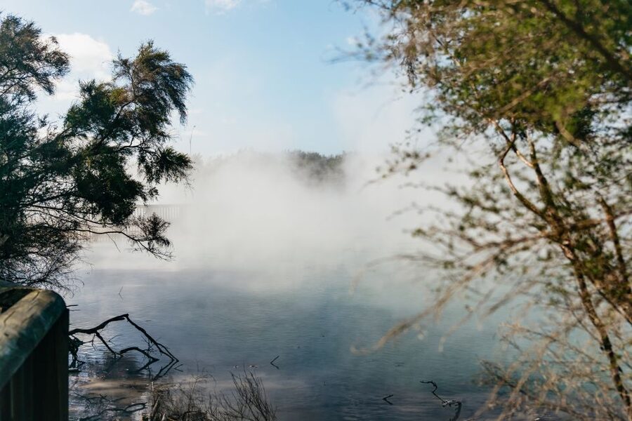 Rotorua: 'Thermal Path Tour' Geothermal half day Tour - Who should book this Rotorua tour