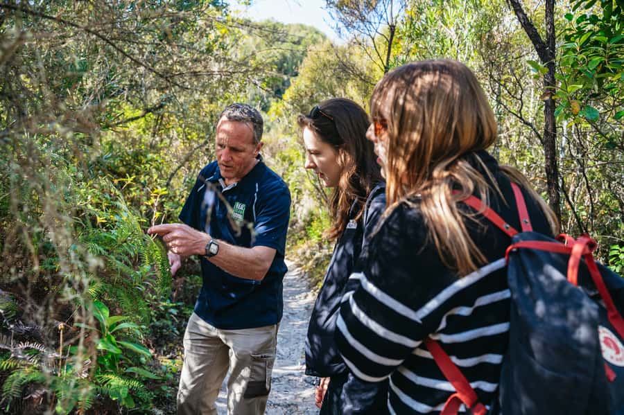 Rotorua: 'Thermal Path Tour' Geothermal half day Tour - Should you book the Thermal Path Tour?