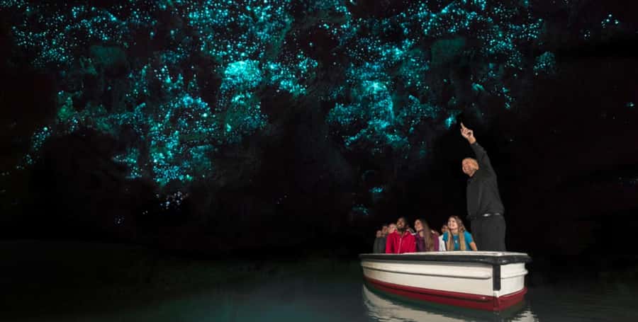 Rotorua to Auckland - Afternoon Transfer with Waitomo Caves - Arriving at Waitomo Caves