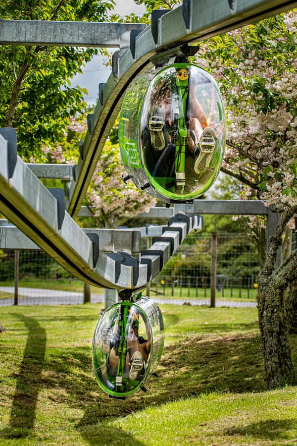 Rotorua: Velocity Valley - Four Ride Pass - Freefall Xtreme for a more intense choice