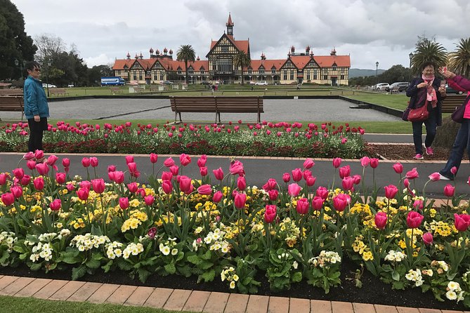 Rotorua via Kiwi/lakes country & a visit to iconic Whakarewarewa - Lunch beside Lake Rotorua