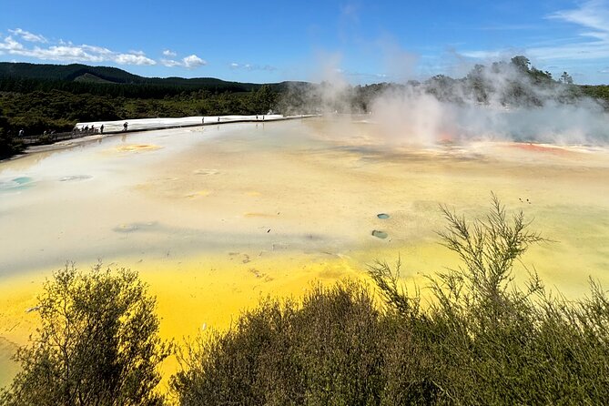 Rotorua: WaiOtapu & Redwood forest & Blues springs from Auckland - Two hours to eat and look around Rotorua