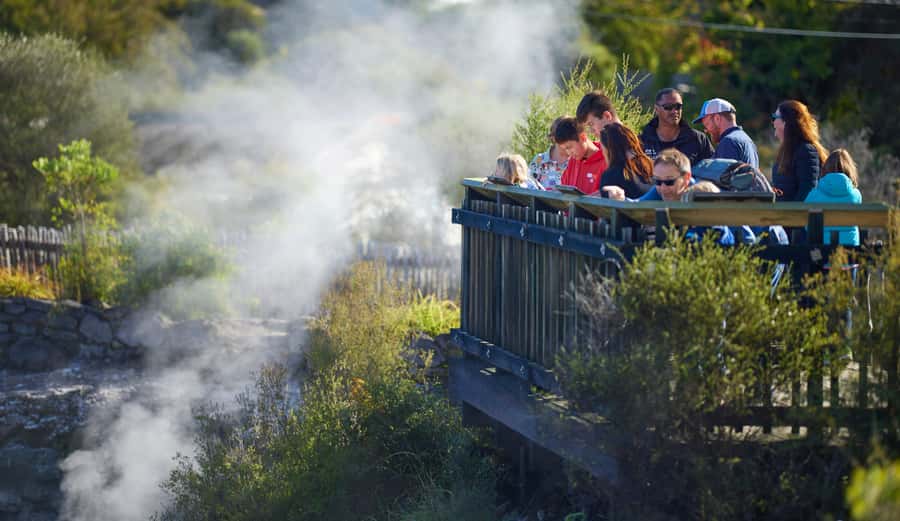 Rotorua: Whakarewarewa Village Guided Tour - Pōhutu geyser and the best lookout views