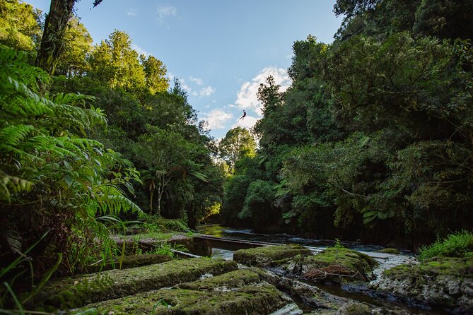 Rotorua Ziplines - Okere Falls Experience - Māori stories, tea, and the mauri of the forest
