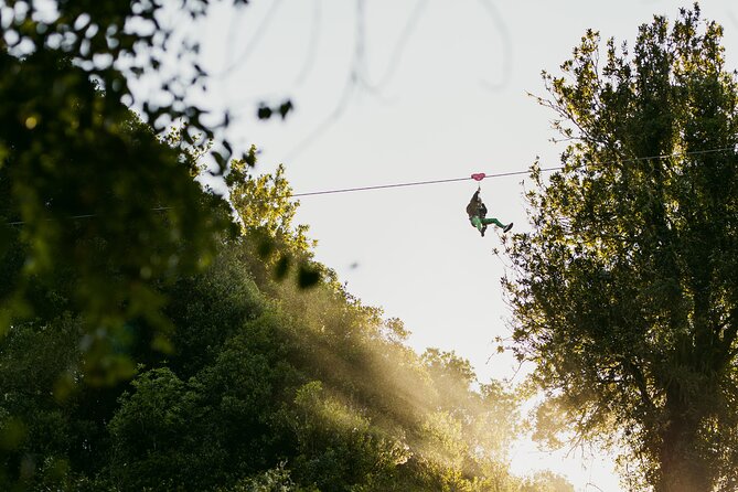 Rotorua Ziplines - Okere Falls Experience - A conservation project you can see and support