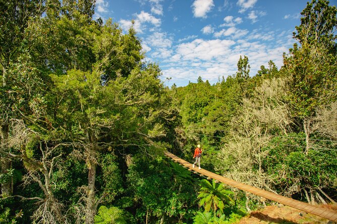 Rotorua Ziplines - Okere Falls Experience - The route’s best moments and possible limits
