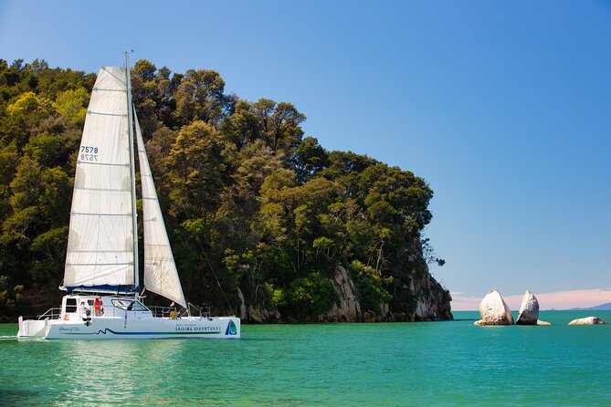 Sail, Seals, and Walk Tour in Abel Tasman - Key points to know before you book