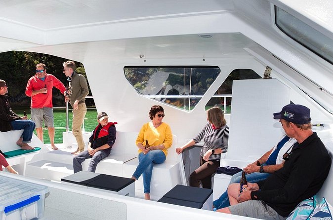 Sail, Seals, and Walk Tour in Abel Tasman - Fisherman Island, Adele Island, and the coastal wildlife