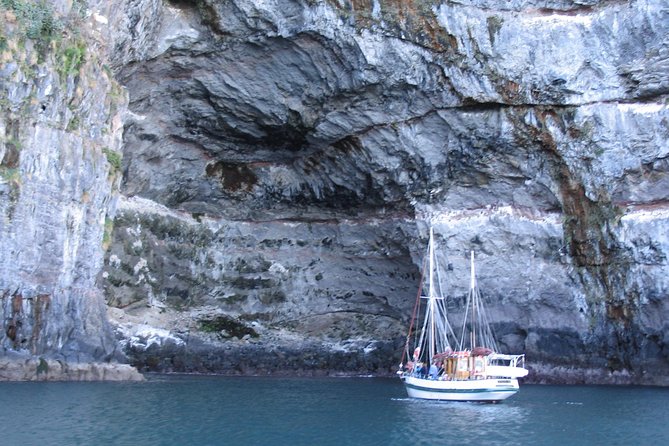 Sailing and Wildlife Tour Akaroa Fox II Sailing - Searching for Hector’s dolphins