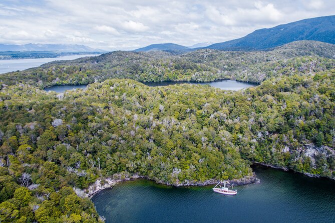 Scenic Cruise & Guided Walk on Historic Motor Yacht Lake Te Anau - Who should book this experience?