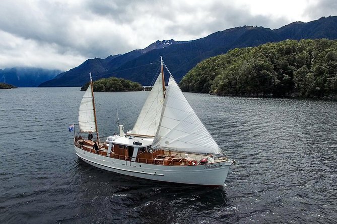 Scenic Cruise & Guided Walk on Historic Motor Yacht Lake Te Anau - Cruising toward South Fiord