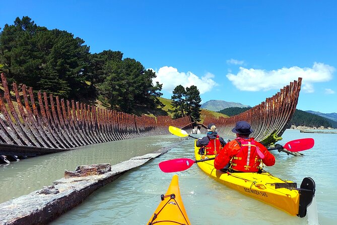 Sea Kayaking Christchurch, Lyttelton Harbour & Quail Island - A picnic lunch by the beach