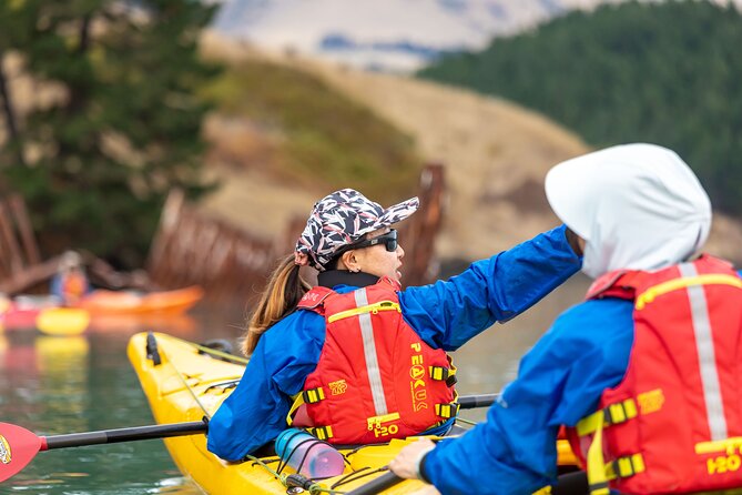 Sea Kayaking Christchurch, Lyttelton Harbour & Quail Island - What the $278.64 price covers