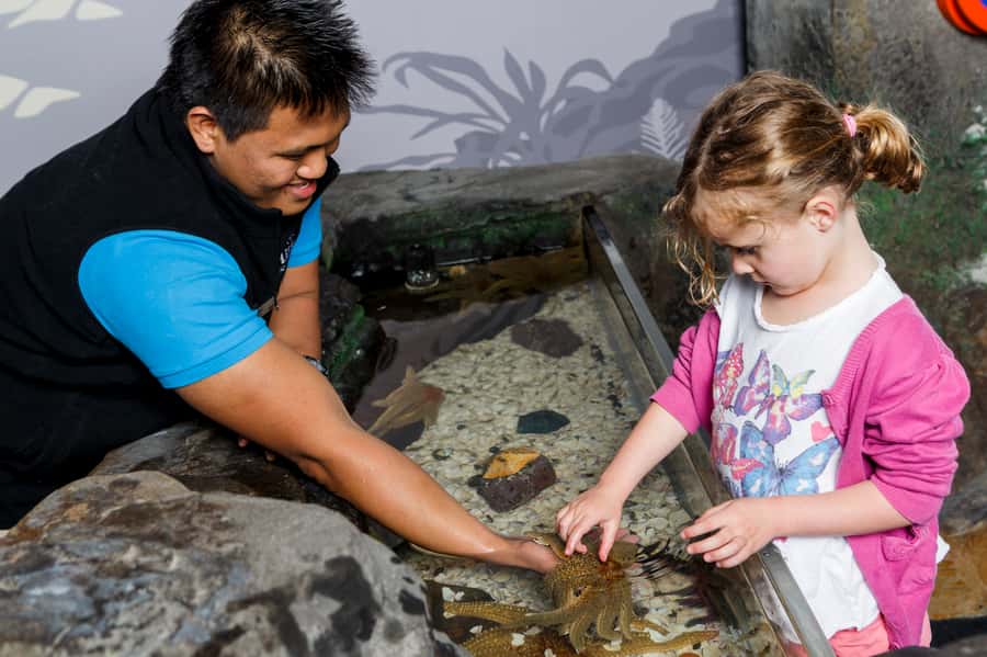 Sea Life Kelly Tarlton's Aquarium General Admission - Practical tips for a smoother visit