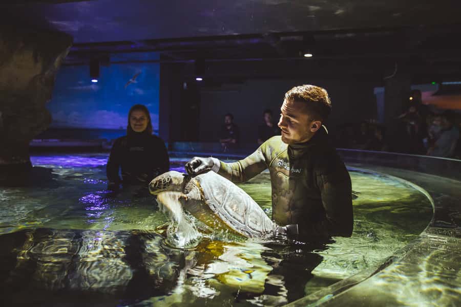 Sea Life Kelly Tarlton's Aquarium General Admission - Is the $23 admission good value?
