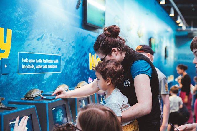 SEA LIFE Kelly Tarlton's General Admission - Price, ticket choice, and what is extra
