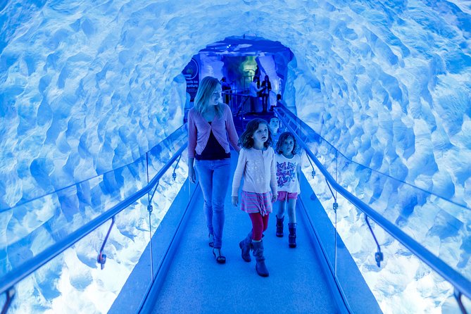 SEA LIFE Kelly Tarlton's General Admission - What is excellent, and what feels limited