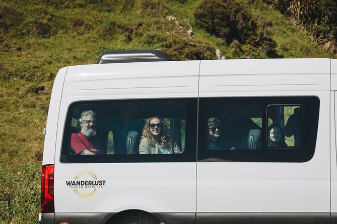 Seal Coast Safari - Exclusive access to Wellington's secret coast - Why Wellington’s south coast is worth your half-day