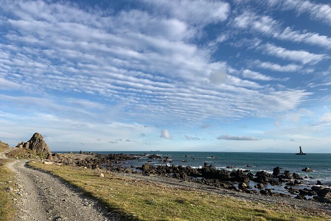 Seal Coast Safari - Exclusive access to Wellington's secret coast - Cape Terawhiti and the leaning lighthouse
