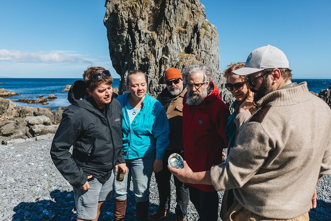 Seal Coast Safari - Exclusive access to Wellington's secret coast - Otari-Wilton’s Bush brings native plants into the picture