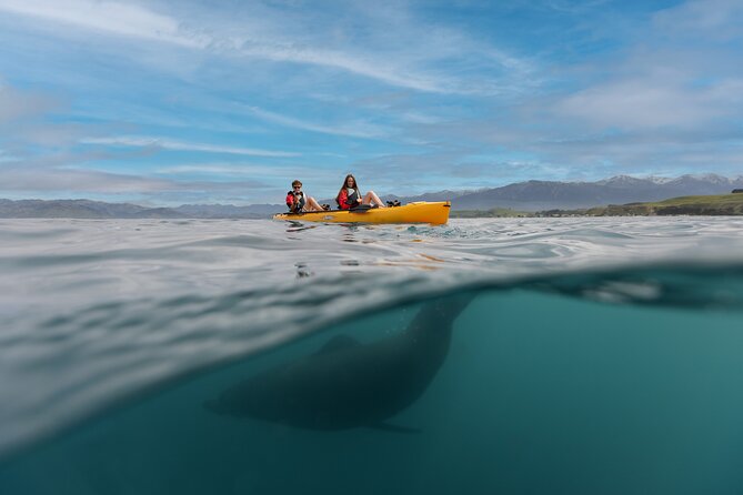 Seal Kayaking Adventure in Kaikoura - What the three-hour route feels like