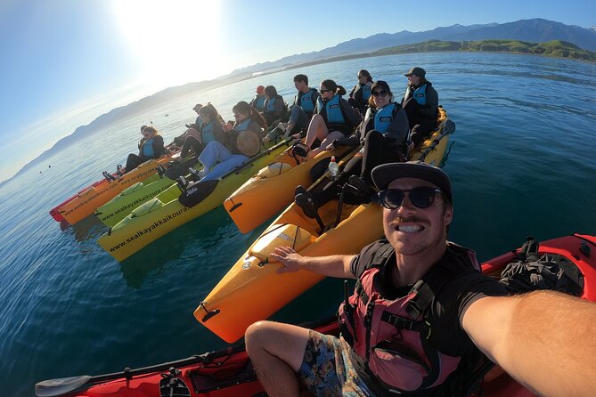 Seal Kayaking Adventure in Kaikoura - Sunrise calm, afternoon light, or a sunset departure