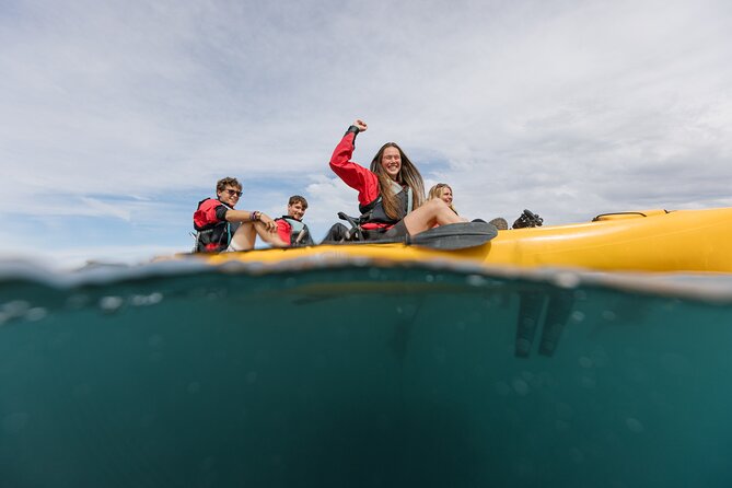 Seal Kayaking Adventure in Kaikoura - How hard is the kayaking?